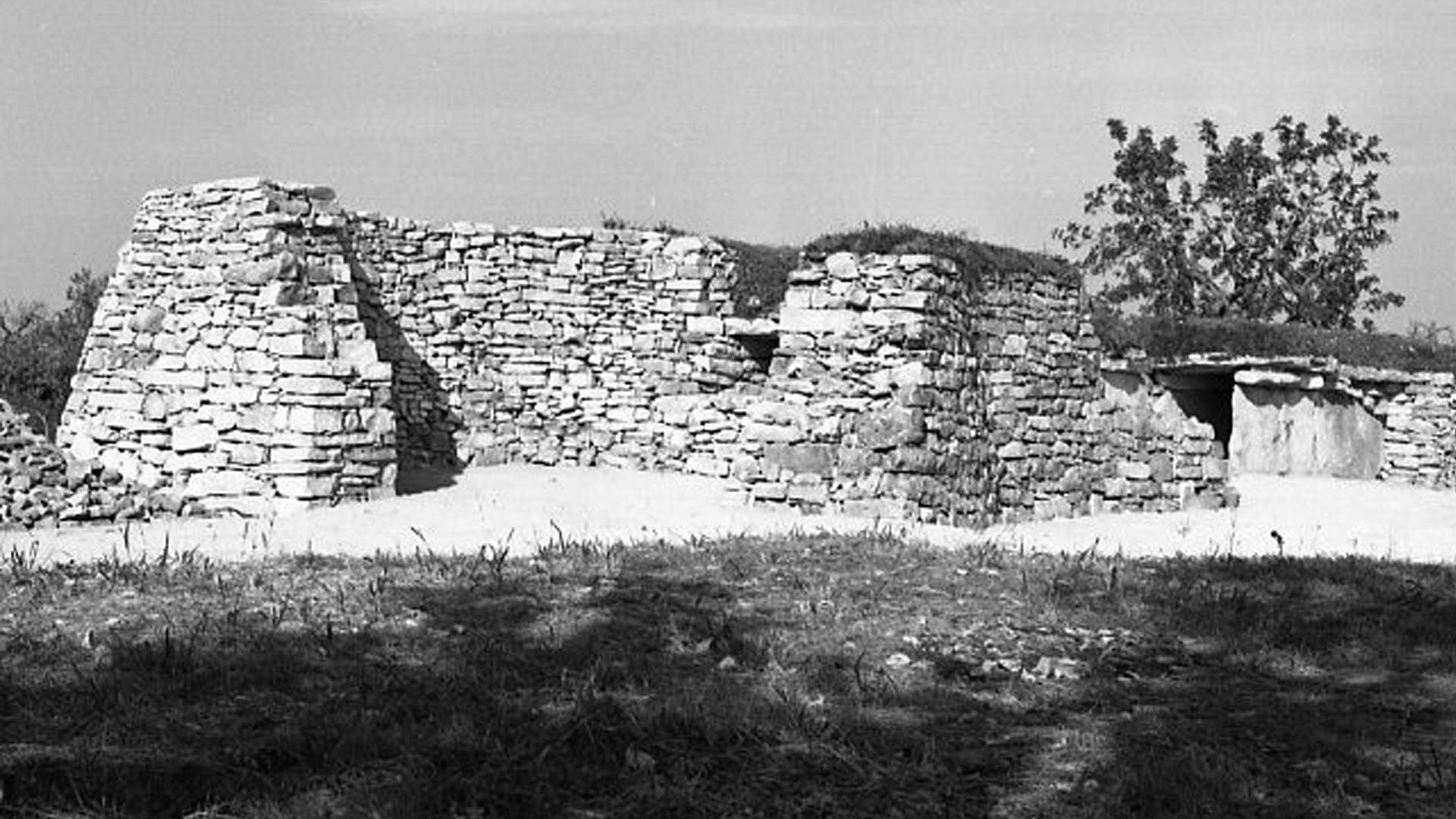 Dolmen San Silvestro. Restauro Lo Porto 1961.